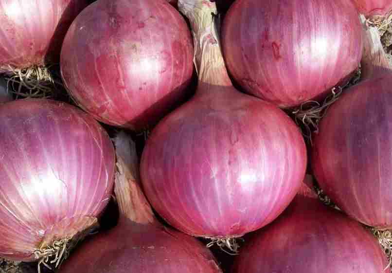 How Many Carbs In Onions? Reveal The Secret Gather Baltimore